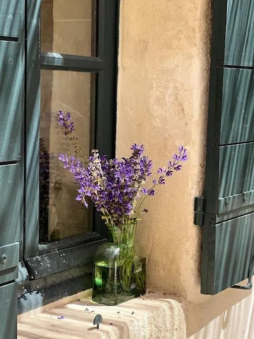 Saint-Rémy-de-Provence Mas Du Grand Chene 빌라 0*,  프랑스